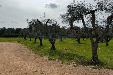 Villa i Ostuni, Brindisi, Ostuni - € 735.000 | Ref: 172862 - foto 10